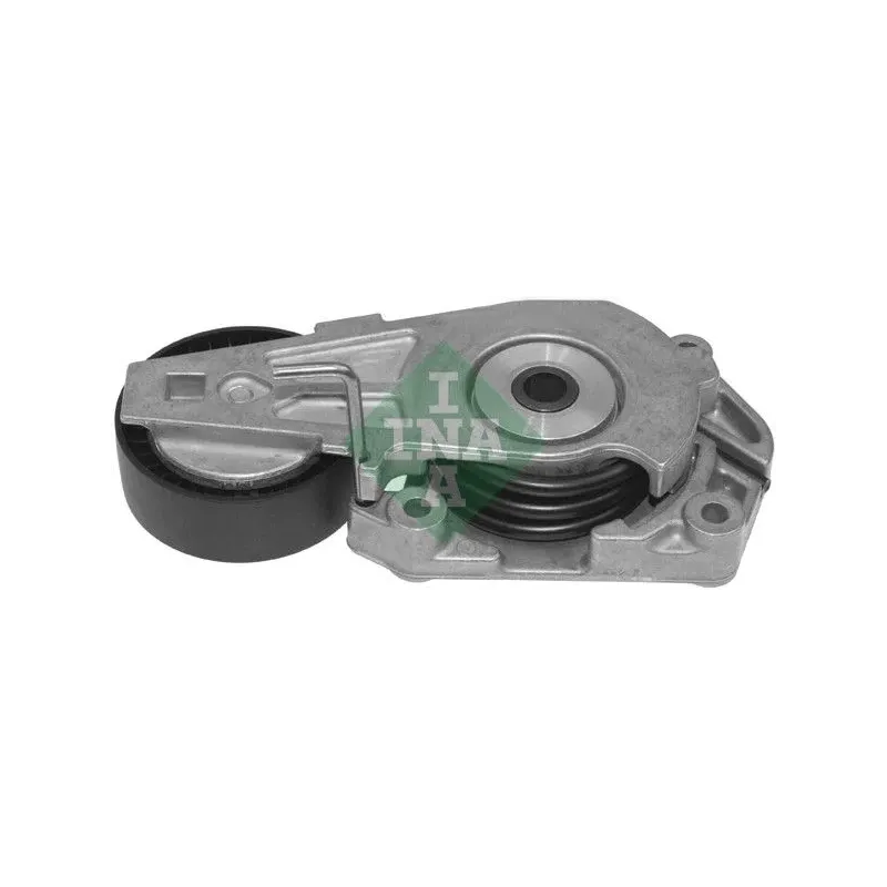 INA SCHAEFFLER 534016010 Tensor de correa