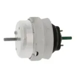 CORTECO 80005231 Soporte, motor