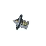 NRF 725012 Termostato, refrigerante