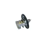 NRF 725012 Termostato, refrigerante