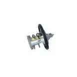 NRF 725012 Termostato, refrigerante