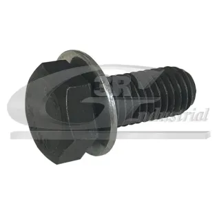 3RG 10006 Tornillo, soporte cojinete cigüeñal