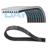 DAYCO 8PK1509HD Correa trapecial poli V