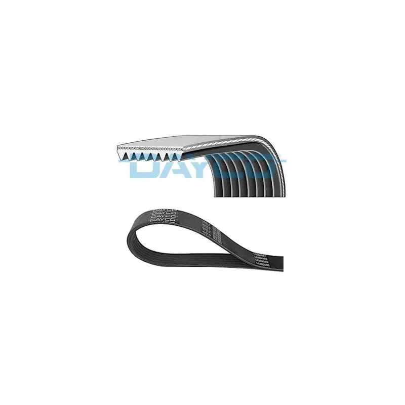 DAYCO 8PK2043HD Correa trapecial poli V