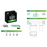 Bateria Harley Davidson YTX14LBS Gel High Power Fulbat FHD14HL  YTX14L-BS 