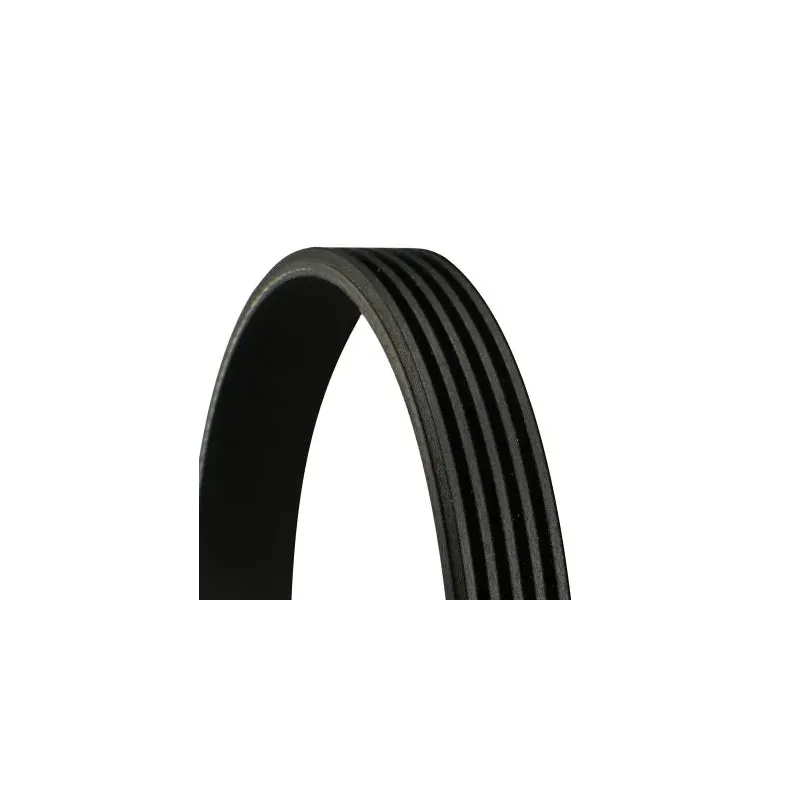 CONTINENTAL CTAM 5PK1025 Correa trapecial poli V