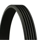 CONTINENTAL CTAM 5PK585 Correa trapecial poli V