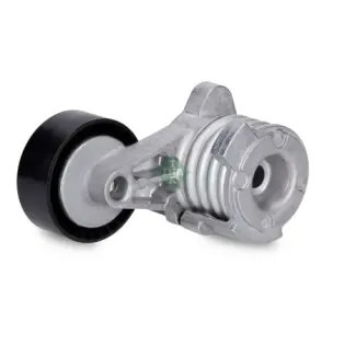 Schaeffler INA 534025210 Tensor de correa, correa poli V