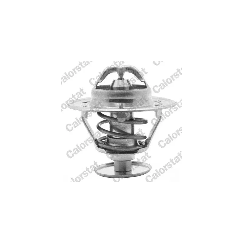 CALORSTAT by Vernet TH1419.88J Termostato, refrigerante