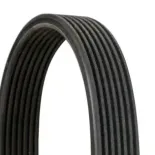 CONTINENTAL CTAM 7DPK2880 Correa trapecial poli V