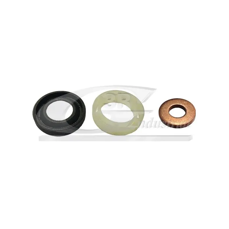 3RG 83248 Juego de juntas, inyector