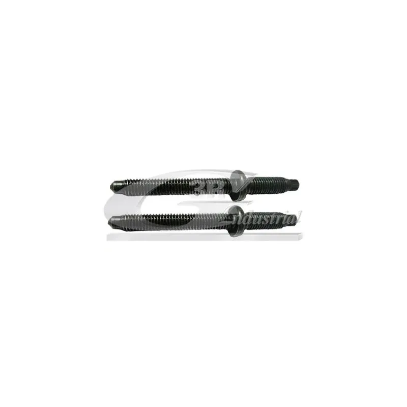 3RG 83295 Tornillo, soporte inyector