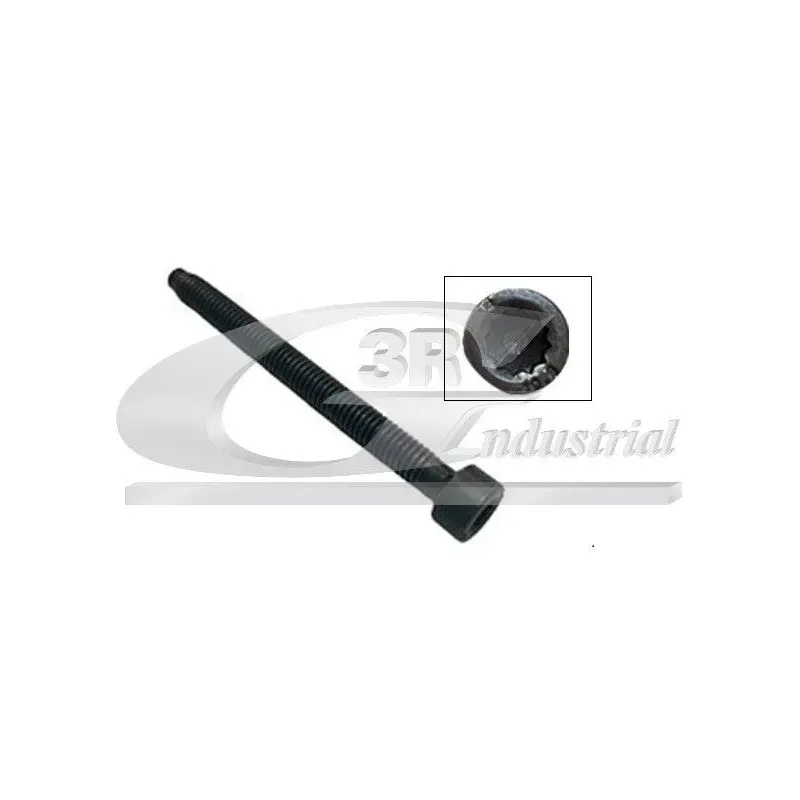 3RG 99701 Tornillo de ajuste, bomba inyección