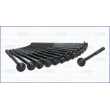 AJUSA 81045000 Juego de tornillos de culata