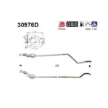 AS 30976D Catalizador