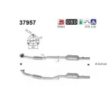AS 37957 Catalizador