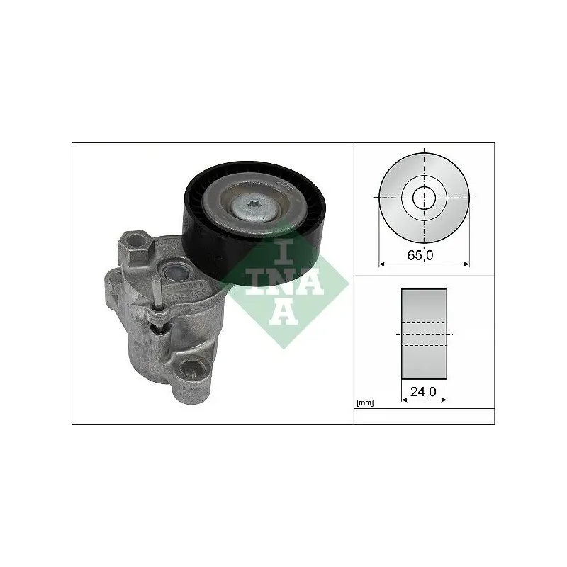INA SCHAEFFLER 534072910 Tensor de correa