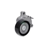 INA SCHAEFFLER 534072910 Tensor de correa