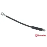 BREMBO T59006 Tubo flexible de frenos