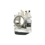 NRF 408023 Cuerpo de mariposa