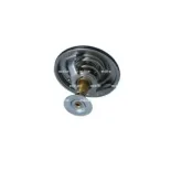 NRF 725077 Termostato, refrigerante