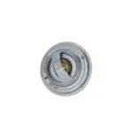 NRF 725077 Termostato, refrigerante