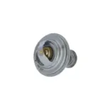 NRF 725077 Termostato, refrigerante