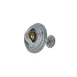 NRF 725077 Termostato, refrigerante