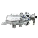 FINDAL 88944 Módulo EGR