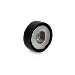 INA SCHAEFFLER 531073410 Rodillo tensor