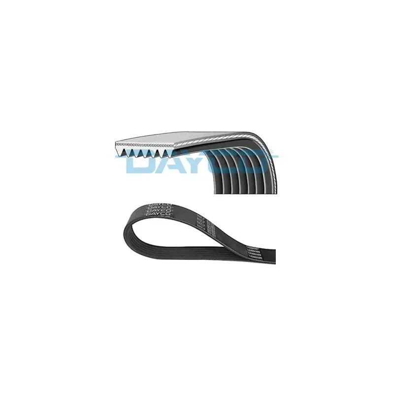 DAYCO 7PK1076 Correa trapecial poli V