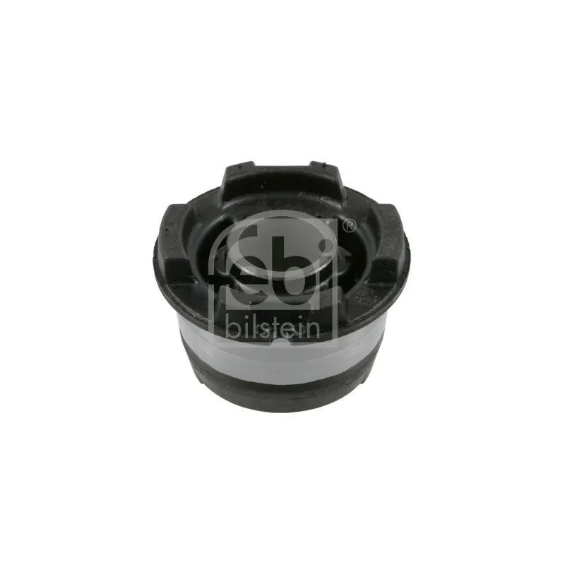 FEBI BILSTEIN 22957 Suspensión, cuerpo del eje