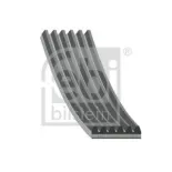 FEBI BILSTEIN 39804 Correa trapecial poli V