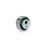 INA SCHAEFFLER 531003010 Rodillo tensor