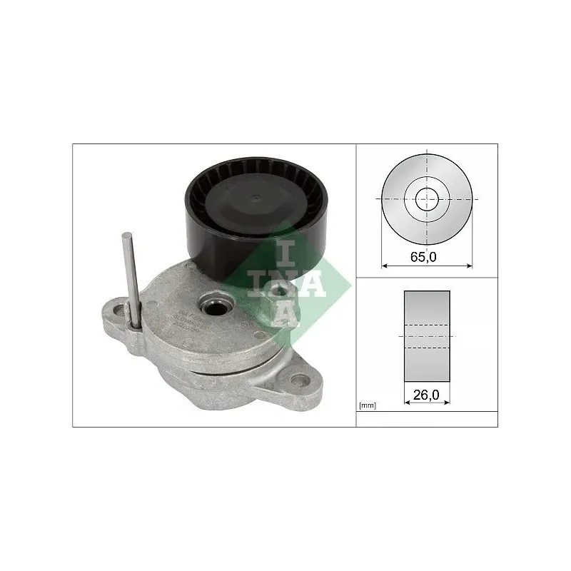 INA SCHAEFFLER 534079510 Tensor de correa