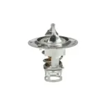 NRF 725142 Termostato, refrigerante