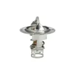 NRF 725142 Termostato, refrigerante