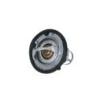 NRF 725142 Termostato, refrigerante