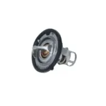 NRF 725142 Termostato, refrigerante