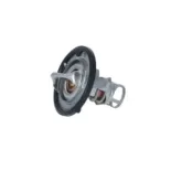 NRF 725142 Termostato, refrigerante