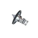 NRF 725142 Termostato, refrigerante