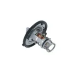 NRF 725142 Termostato, refrigerante