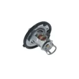 NRF 725142 Termostato, refrigerante