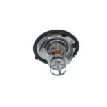 NRF 725142 Termostato, refrigerante