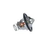 NRF 725142 Termostato, refrigerante