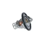 NRF 725142 Termostato, refrigerante