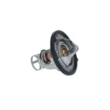 NRF 725142 Termostato, refrigerante