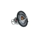 NRF 725142 Termostato, refrigerante