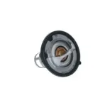 NRF 725142 Termostato, refrigerante