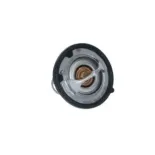 NRF 725142 Termostato, refrigerante